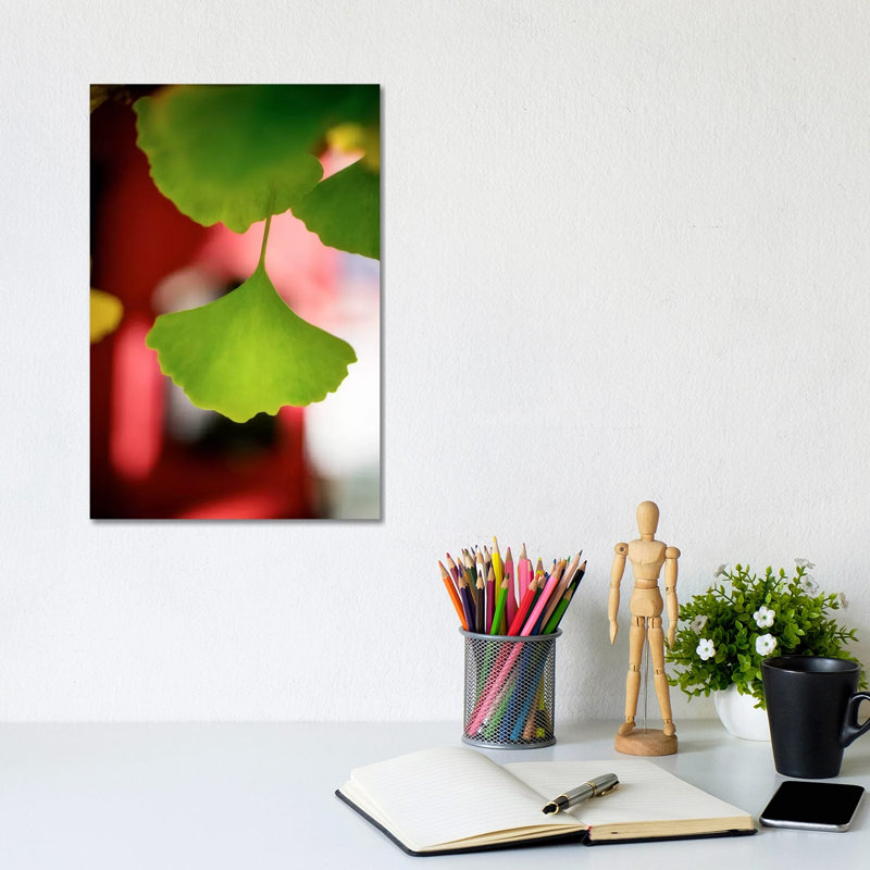 Goethes Favorite by Philippe Sainte-Laudy - Wrapped Canvas Print, 20.32 cm H x 30.48 cm W