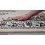 Alizeh Oriental Area Rug-2117370520