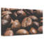 Grains de café torréfiés biologiques Yarlin-108691754
