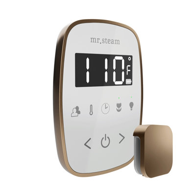 TempoFlex Steam Shower Control and Steamhead 