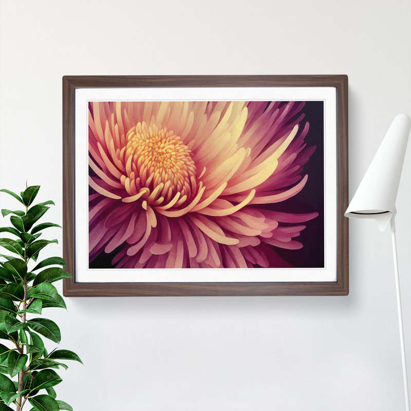 Contemporary Chrysanthemum Flower - Framed Print, 34cm H x 46cm W x 2cm D, Walnut