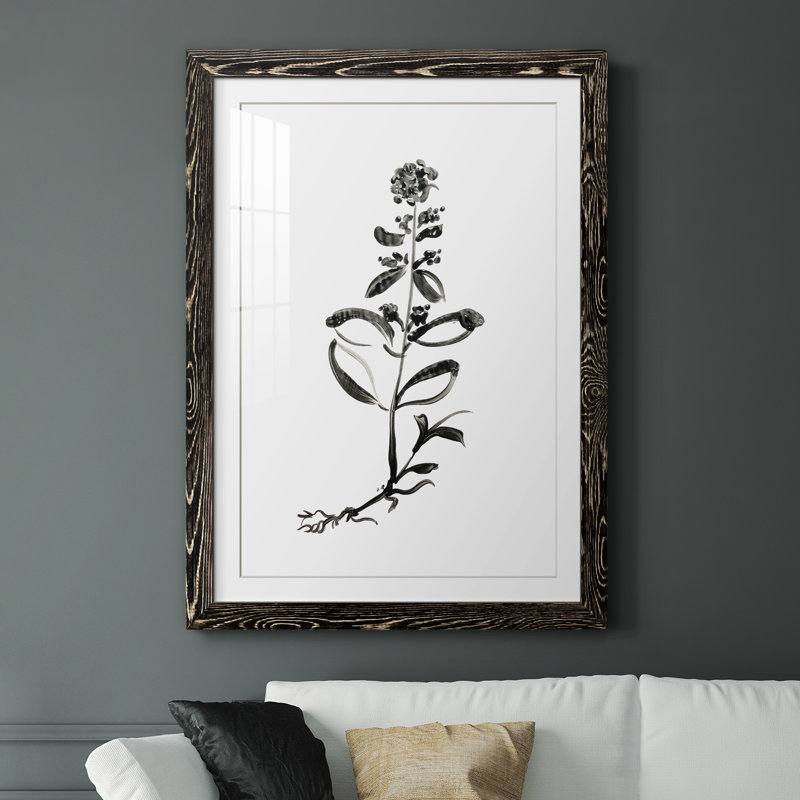 Inky Botanical III - peinture encadrée, Cadre noir, H 31,5 po x l 23,5 po x P 1,5 po
