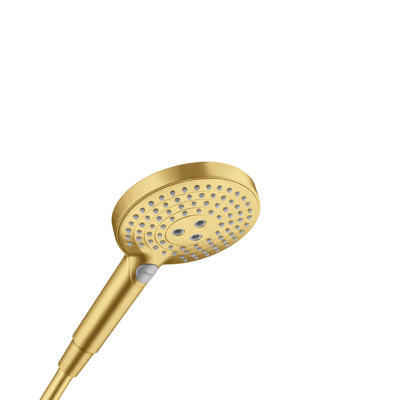 Pomme de douche Raindance S