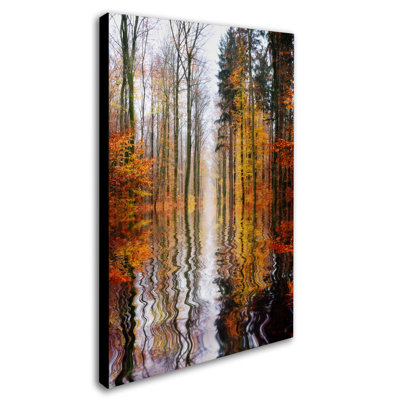 « ground ground » par philippe sainte-laudy, reproduction de photo sur toile tendue