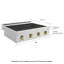 ZLINE 30 in. Paramount Induction Rangetop with 4 Element Cooktop in Satin Stainless Steel-1421216154