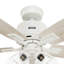 Ventilateur de plafond standard à 5 pales Gatlinburg Easy Installation-88028652-88028653