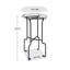 Metal Plant Stand