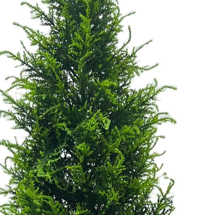 Anivea 150cm Faux Topiary Tree in Pot