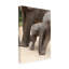 Art sur toile éléphant, Bob Bob Langrish-104143432