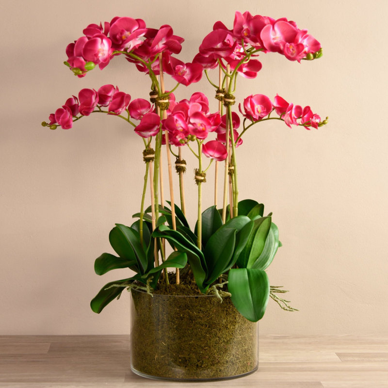 Orchid Floral Arrangement in Vase, Pink