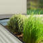 Lit de jardin surélevé Roede-875377150-929403029