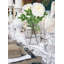 Tige de pivoine Primrue, paquet de 12-2038049746