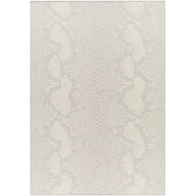 Animal Print Rug