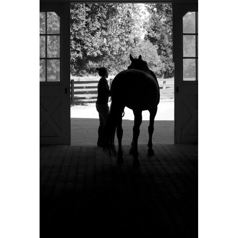 Femme et cheval dans une grange par Rhyman007, H 12 po x l 8 po