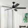 Ceiling Fans With Lights, Smart Ceiling Fan With App And Remote Control