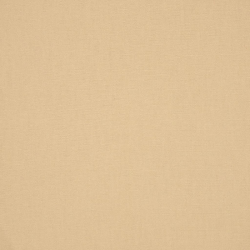 Fabric, Parchment