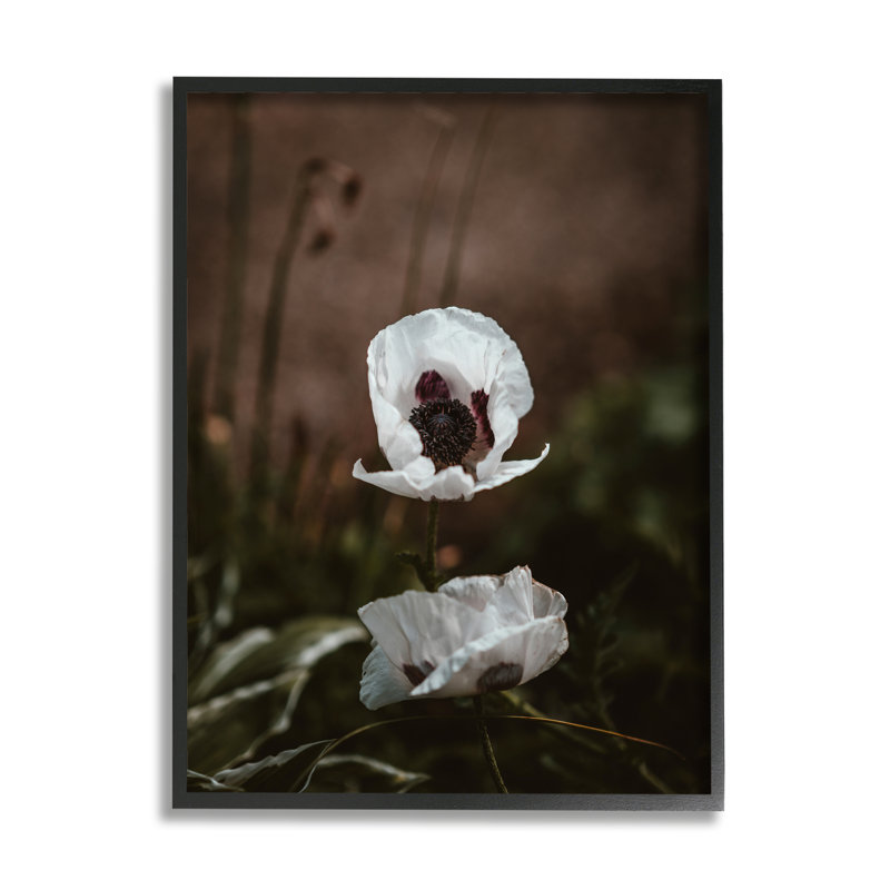 Lonely White Flower Blossom Forest par Incado - photographie, H 20 po x l 16 po x P 1,5 po, Giclée encadrée noir minuit