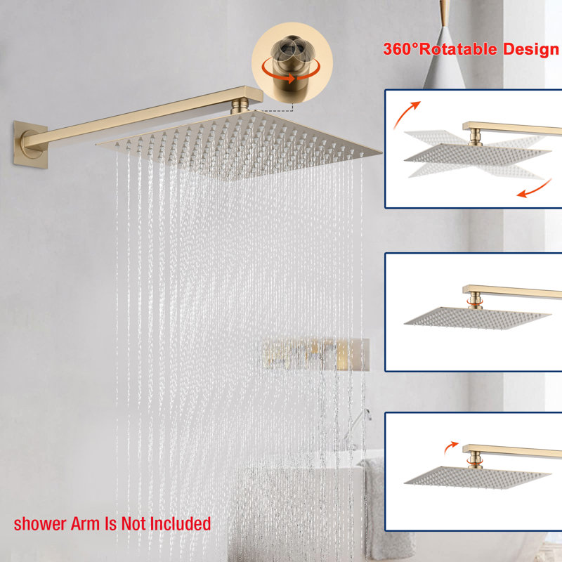 Rain Adjustable Shower Head 2.5 GPM GPM, Brushed Gold