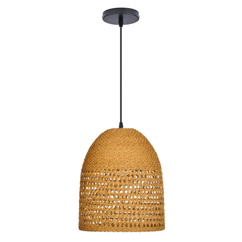 Luminaire suspendu 1 lumière Dome, H 13,77 po x l 11,81 po x P 11,81 po  
