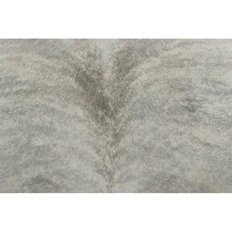 Modern Area Rug