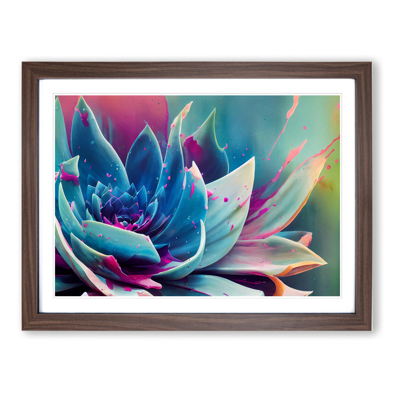 Succulent Plant Paint Splash Abstract - Single Picture Frame Print, Walnut, 46cm H x 64cm W x 2cm D