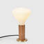 Table Lamp Set
