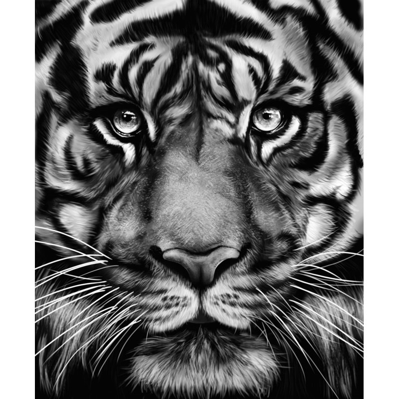 Wrapped Canvas Print, 121.92cm H x 81.28cm W