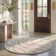 Ashal Abstract Indoor Rug