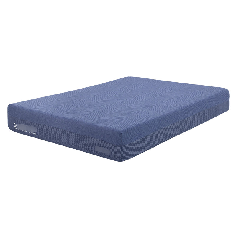 Matelas très grand en mousse de 10 pouces, teinte bleue, housse super douce, mémoire D2.5, tissu roulé et version, Sanction