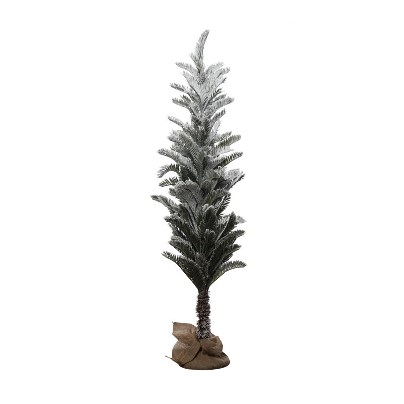 Sapin de Noël, 5'