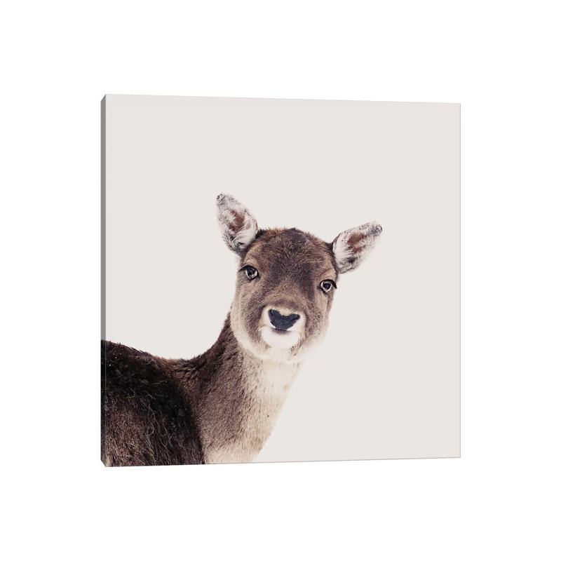 Deer Peekaboo Rose Square by Monika Strigel - Wrapped Canvas Print, 30.48 cm H x 30.48 cm W