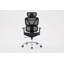 Elite Mesh Black Office Chair