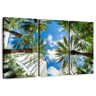 Under Miami Palms
