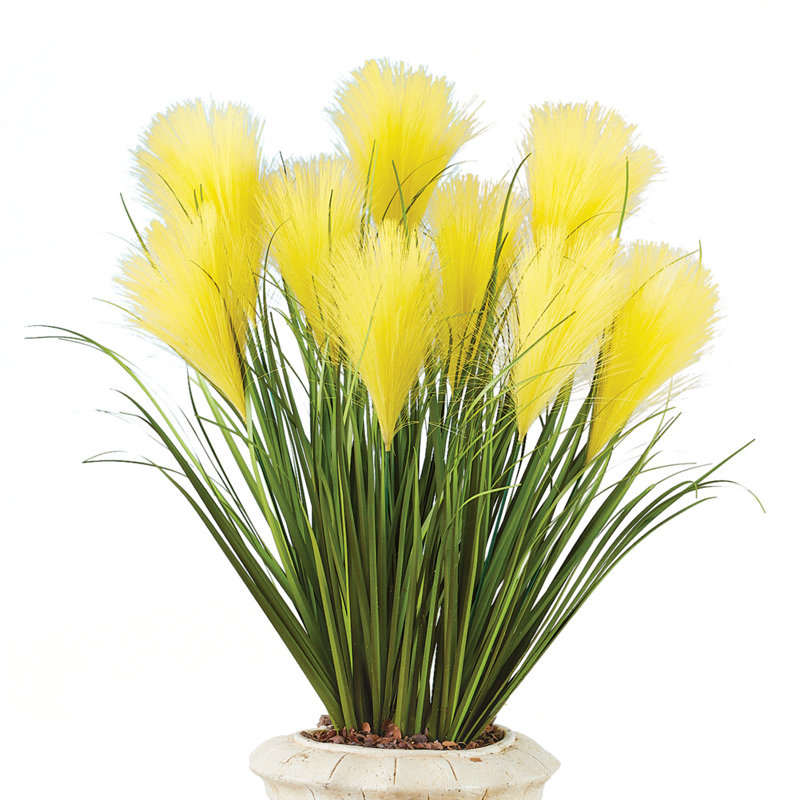 Pampas