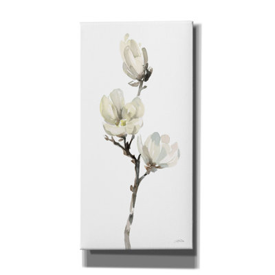 Toile épique Graffiti «White Magnolia 1» par Katrina Pete, 20 po x 40 po