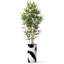 Artificial Tree in Contemporary Planter Fake Bamboo Silk Tree (Plant Pot Plus Tree)-103687314