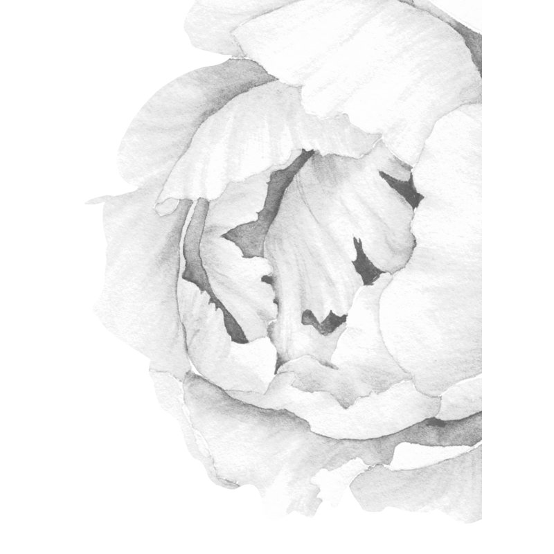 Adhésif décoratif pivoine Wanette, Noir / blanc