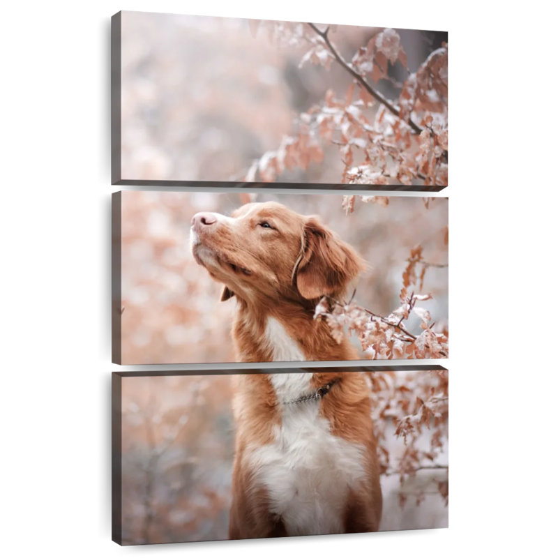 Chien d'hiver Brampt