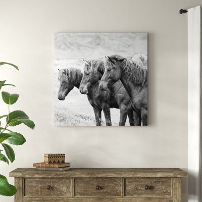 B&W Horses X by PHBurchett - Wrapped Canvas Print