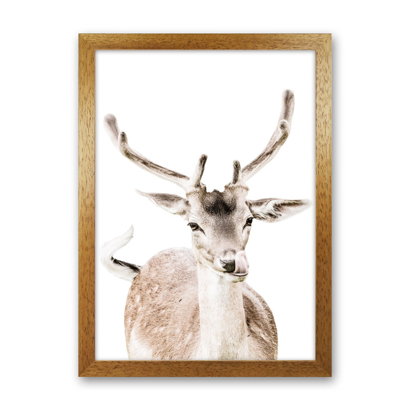 Deer I by Victoria Frost - Print, 46cm H x 34cm W x 3cm D, Oak Framed
