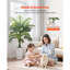 Palmier artificiel artificiel avec plante blanche Areca-1673857828