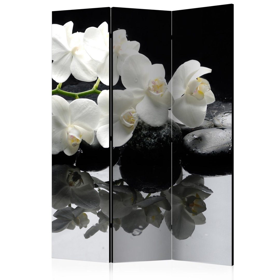 Room Divider - Spa, Stones And Orchid [Room Dividers]