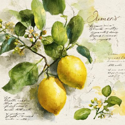 Watercolor Lemon Botanical Illustration Wrapped Canvas Wall Art