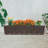 Jacylyn Plastic Indoor / Outdoor Planter Box