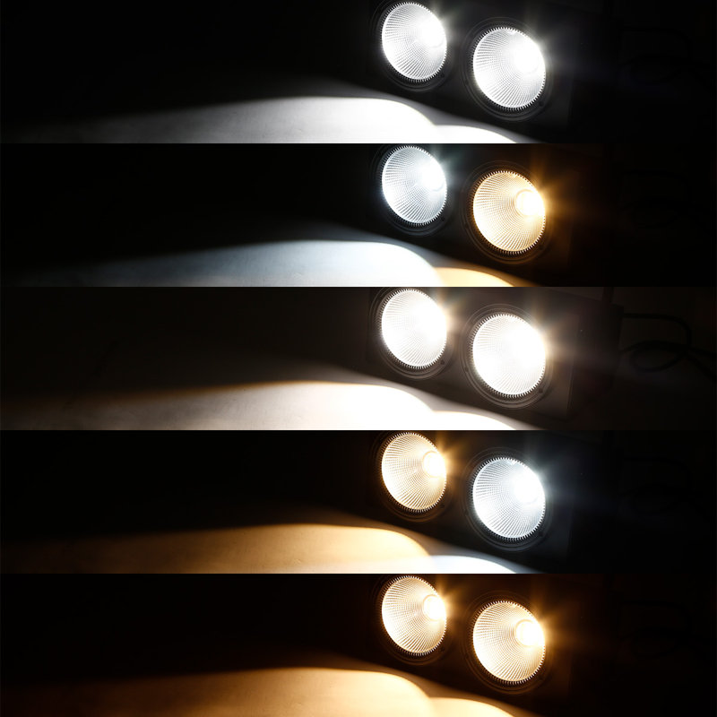 LED Twinkle Projection & Strobe Lights