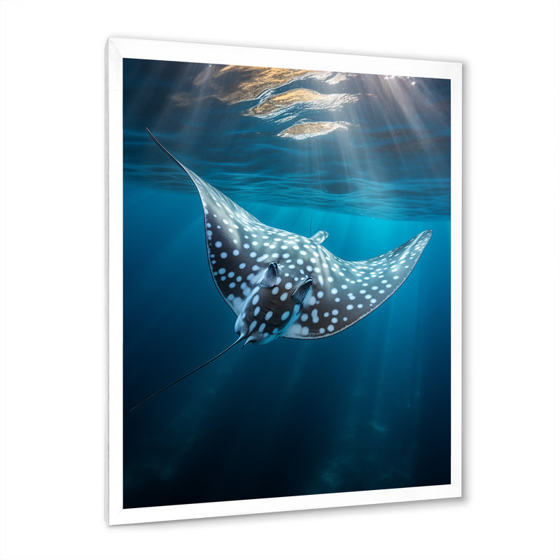 Wilbrecht Ray Graceful Glide Ocean sur toile, H 40 po x l 30 po x P 1,5 po, Cadre photo blanc