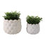 Jardinières coquillage, blanc, 2 pièces