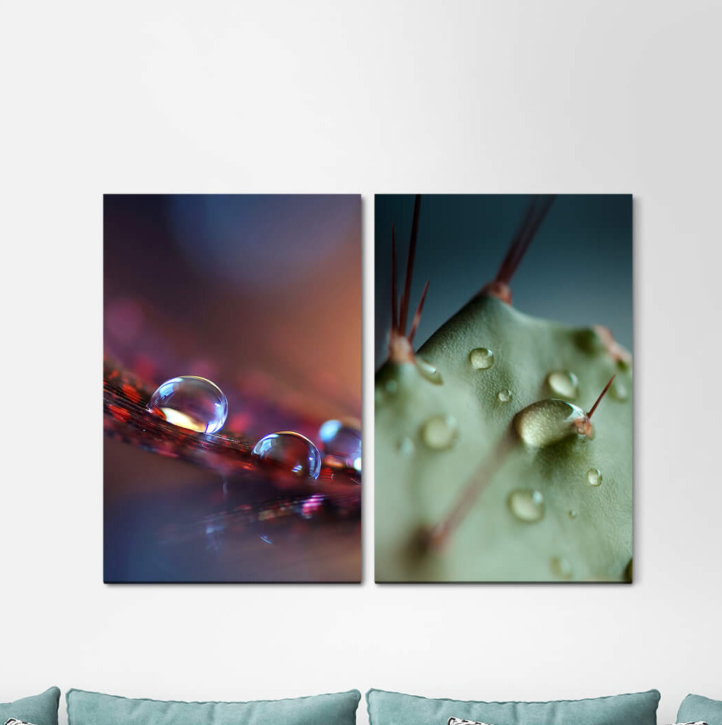 2-tlg. Leinwandbilder-Set - Fotografie „Plants Water Drops Cactus Sting Water Pearls”