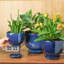 Planter