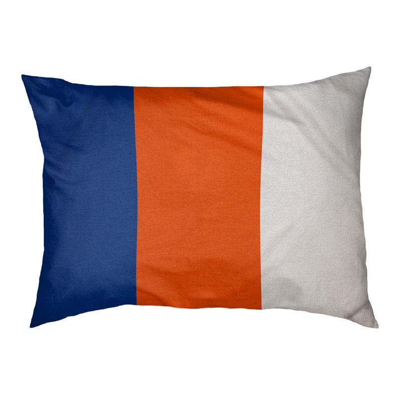 Coussin pour chien hockey Las Vegas, Grand (l 50 po x P 40 po x H 17 po), Bleu royal / orange / blanc